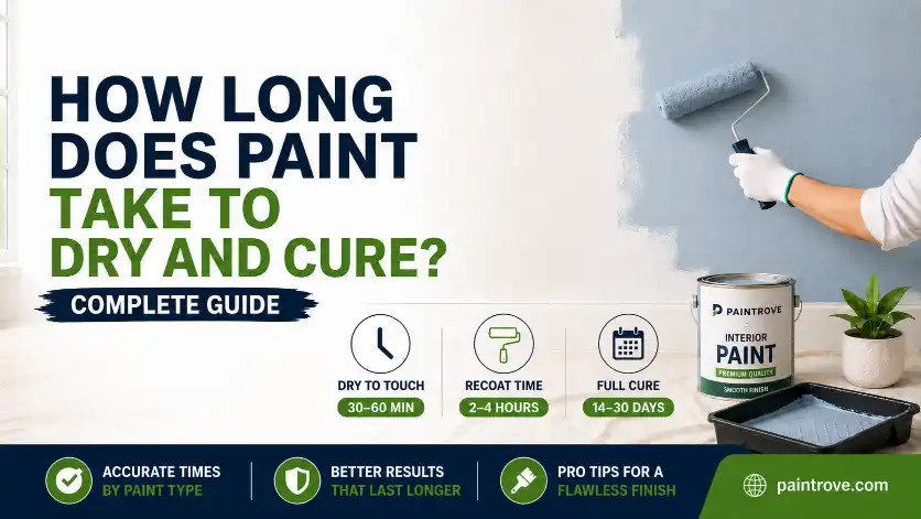 How Long Does Paint Take to Dry and Cure